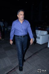 Pandaga Chesko Movie Audio Launch